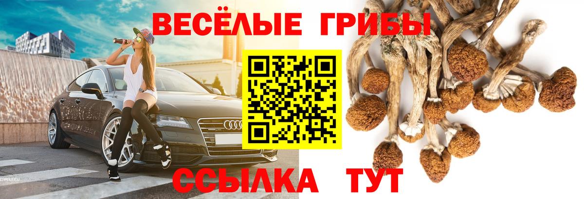 Псилоцибиновые грибы Magic Shrooms Луга