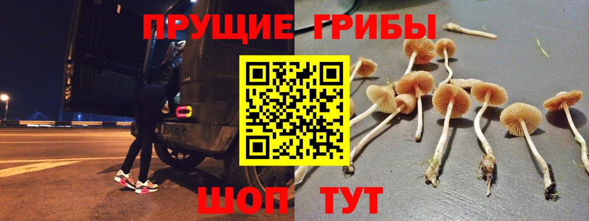 Луга  Галлюциногенные грибы Magic Shrooms  Вход с VPN 